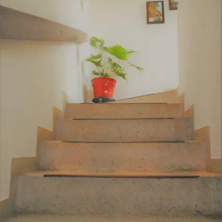 Casa 954 Hotel